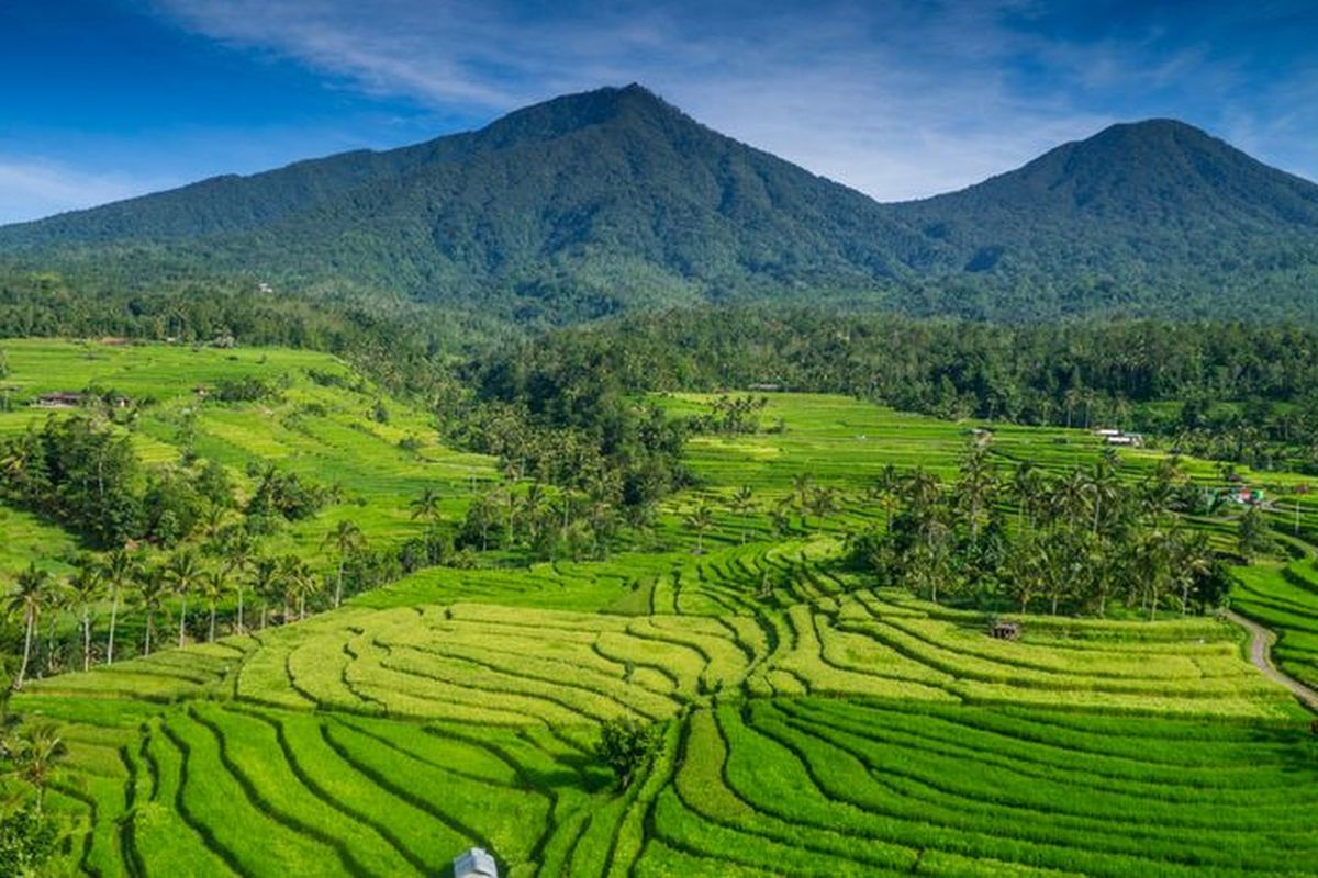 Desa Wisata Jatiluwih yang terletak di Tabanan, Bali, baru-baru ini meraih penghargaan bergengsi sebagai Desa Wisata Terbaik Dunia 2024 oleh UN Tourism.