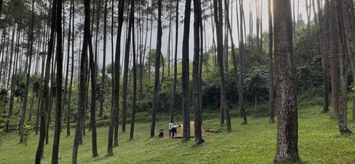 Bandung merupakan salah satu tujuan wisata yang populer di Indonesia, menarik baik wisatawan lokal maupun internasional. Banyak orang biasanya mengunjungi pusat Kota Bandung atau kawasan Lembang