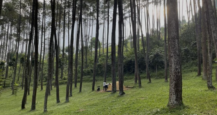 Bandung merupakan salah satu tujuan wisata yang populer di Indonesia, menarik baik wisatawan lokal maupun internasional. Banyak orang biasanya mengunjungi pusat Kota Bandung atau kawasan Lembang