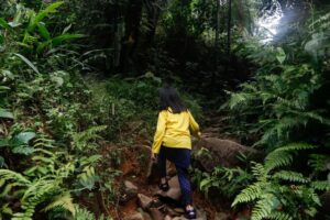 Kawah Ratu: Lokasi Ideal untuk Pendaki Pemula