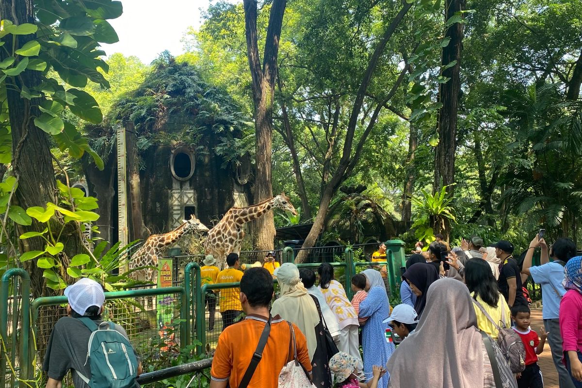 Pengunjung: Ragunan Wadah Belajar Alam bagi Anak-anak