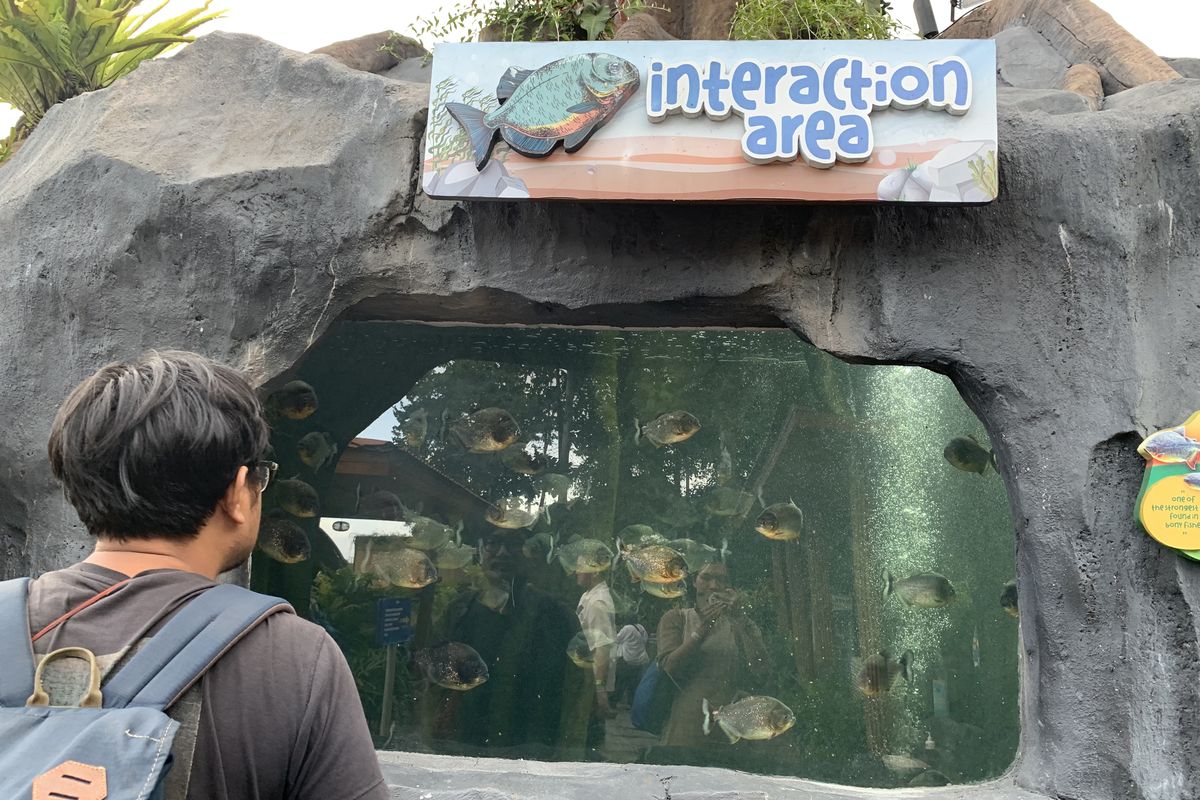 Seharian di Marine Safari Bali, Aktivitas Seru yang Bisa Kamu Coba
